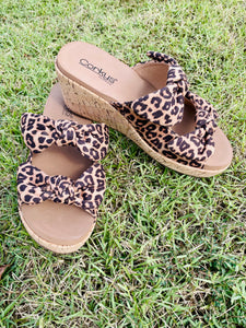 Bowed up leopard