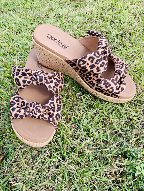 Bowed up leopard