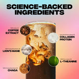 Everyday Dose single serving