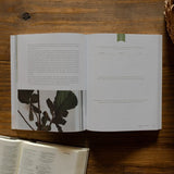 Faithful | Eden To Eternity Bible Study
